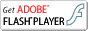 windows media player
