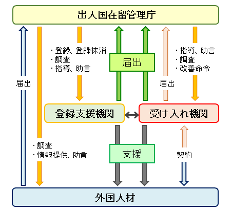 出入国在留管理庁と受け入れ機関との関係