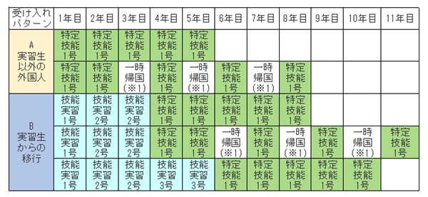 特定技能パターン